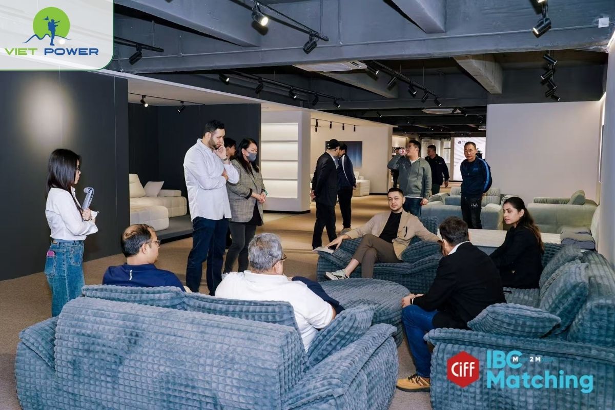 Zone A: Khảo sát sofa cao cấp, nội thất phòng khách