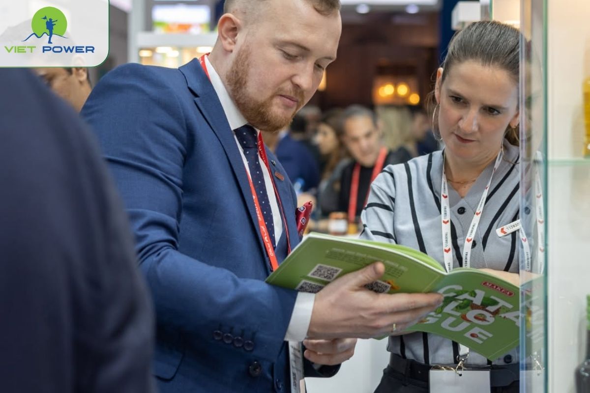 Đi Ngẫu Hứng, Không Chia Theo Hall & Ngành Hàng