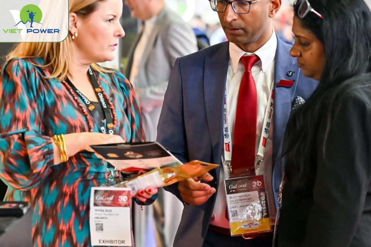 Không Chuẩn Bị Elevator Pitch & Thông Tin Cốt Lõi