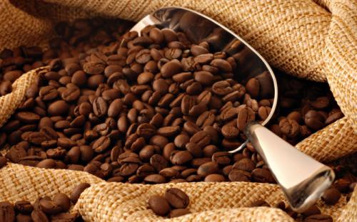 Giới thiệu thị trường cà phê Ma-rốc