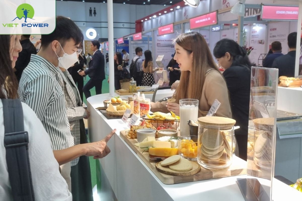 Nên Đi Hi & Fi Asia China Tự Túc Hay Theo Tour Hội Chợ?