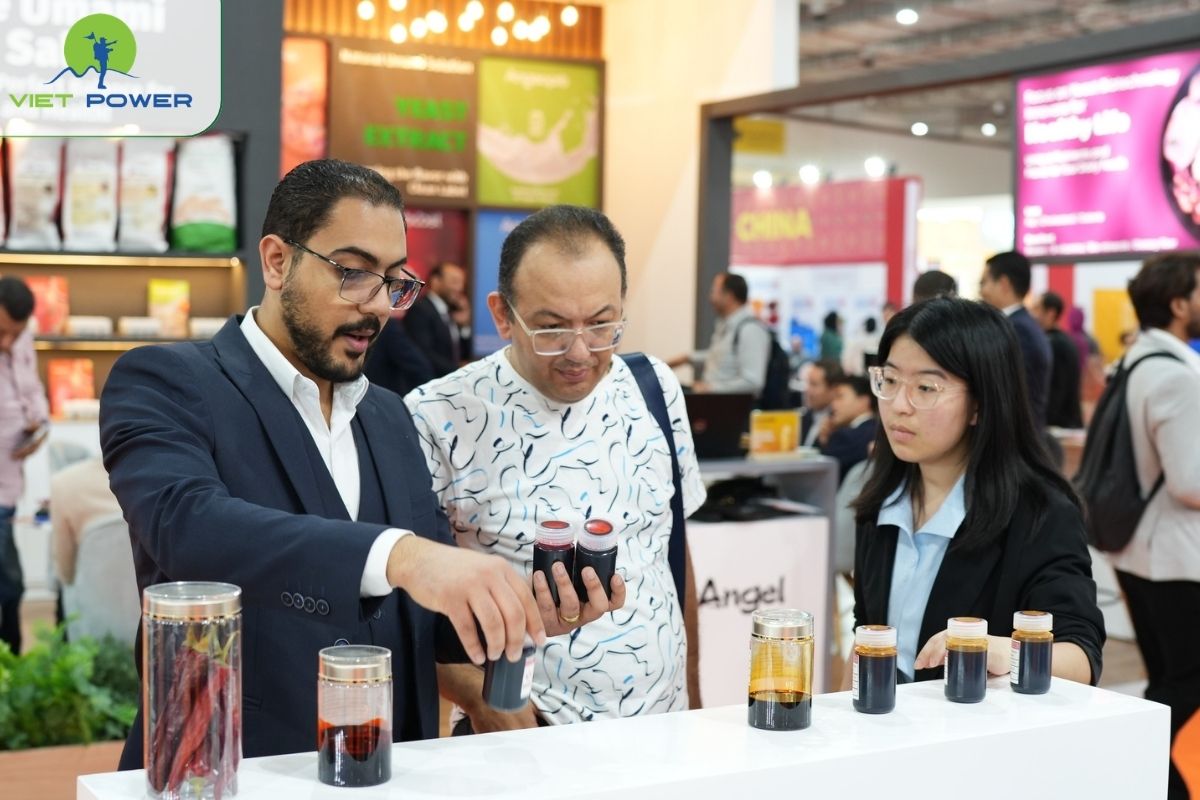 Tour Hi & Fi Asia Phù Hợp Với Đối Tượng Nào?