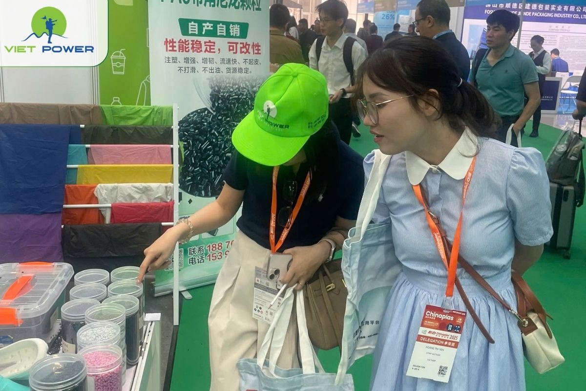 Có Hdv Tiếng Việt Đồng Hành