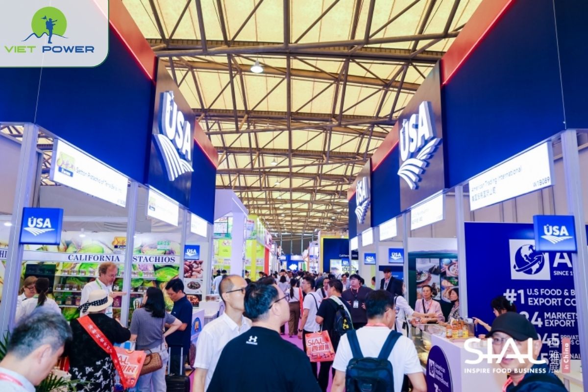 Dự Toán Chi Phí Cho Khách Tham Quan: Đi Theo Tour Hay Tự Túc