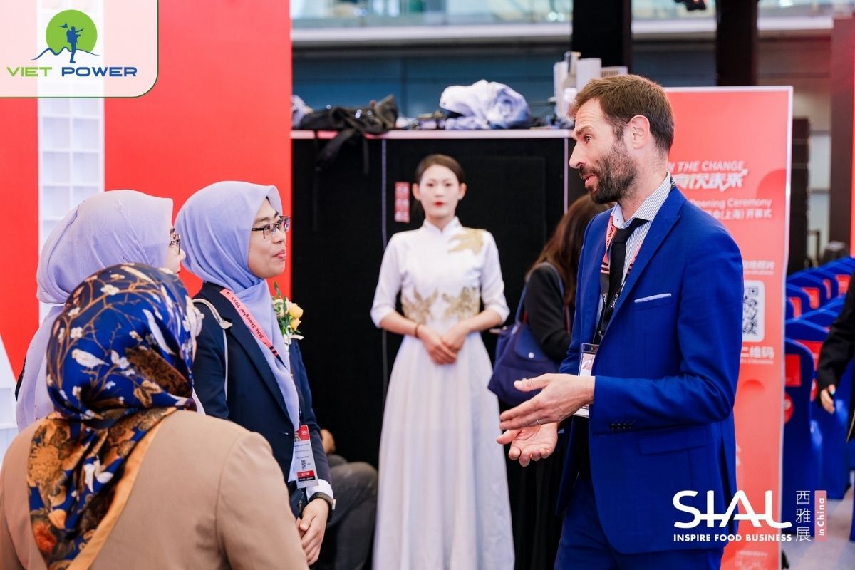 Chi Phí Phiên Dịch 